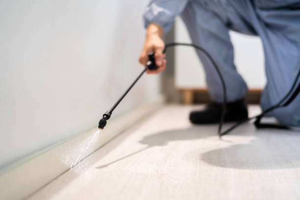 Licensed Termite Control service in Union County County, OR - Nex Pest Control