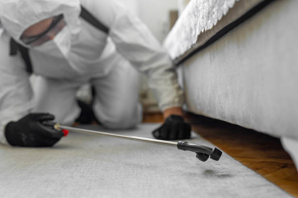 Professional Termite Control technician working in Union County County, OR